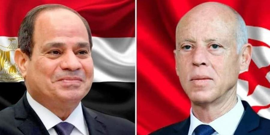 السيسي: حريصون على تعزيز التعاون مع تونس والتصدي لتحديات الأمن القومي العربي - لاين نيوز