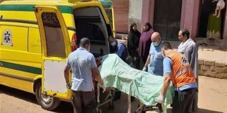 التحقيقات: لا شبهة جنائية في مصرع عامل سقط من القطار بالشرابية - لاين نيوز